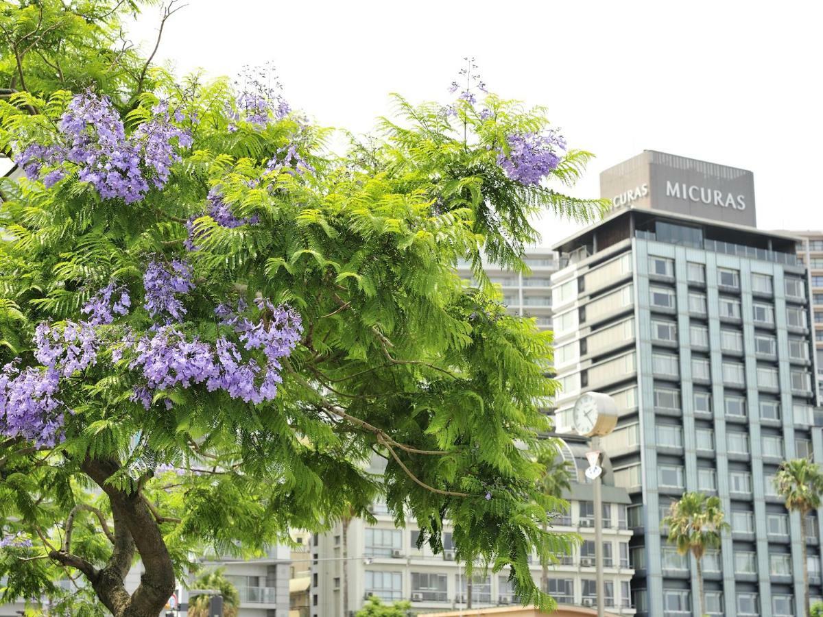 Hotel Micuras Atami  Bagian luar foto